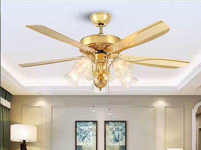 Ceiling-Fan-&-Chandelier-Gallery2